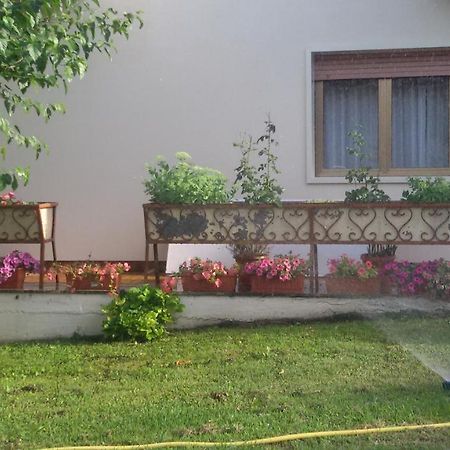 Hotel Le Vigne Contigliano Kültér fotó